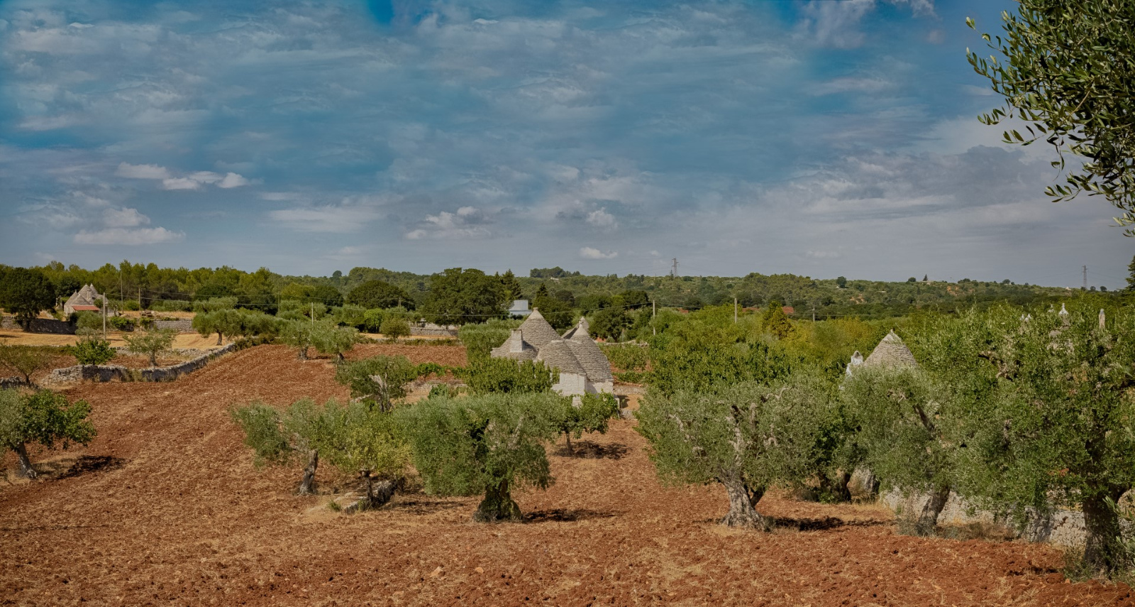 Alberobello3138 (Large)